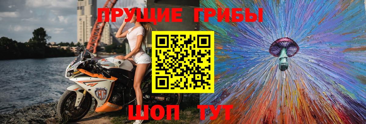 Псилоцибиновые грибы прущие грибы  Вход с VPN  Холмск 